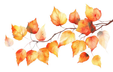 PNG Autumn leaves watercolor illustration