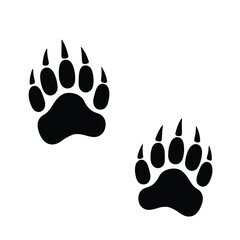 Black bear paw prints on white background track animal