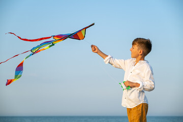 Colorful kite flying high over sea, pulled by young boy enjoying seaside day, natural elements in...