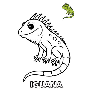 Cute Iguana Animal Children Coloring Pages