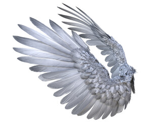 3D rendered illustration of majestic white angel wings with layered feathers, isolated on transparent background