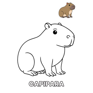 capybara Animal Children Coloring Pages