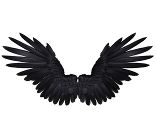  3D-rendered black wings resembling raven feathers, isolated on transparent background
