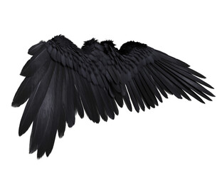  3D-rendered black wings resembling raven feathers, isolated on transparent background
