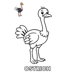 Ostrich Animal Children Coloring Pages