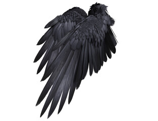  3D-rendered black wings resembling raven feathers, isolated on transparent background
