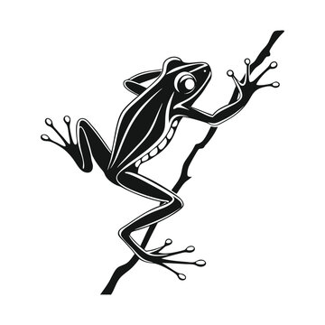 black frog climbing branch clip art preview