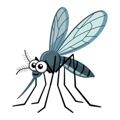 Mosquito vector illustration on white background.