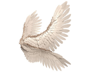 3D rendered illustration of elegant white wings, isolated on transparent background