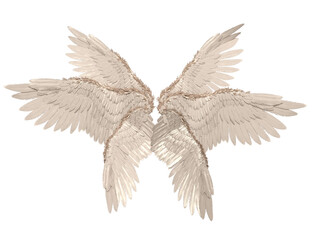 3D rendered illustration of elegant white wings, isolated on transparent background