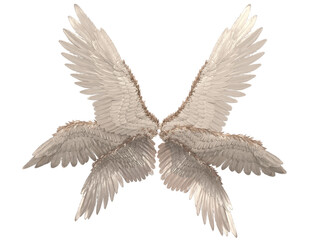 3D rendered illustration of elegant white wings, isolated on transparent background