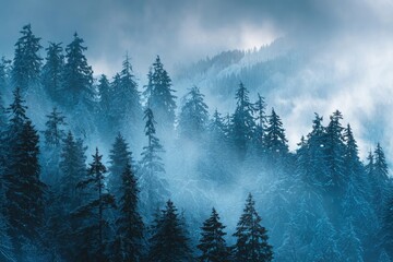 Misty, snow-covered evergreen forest on a mountainside (1)