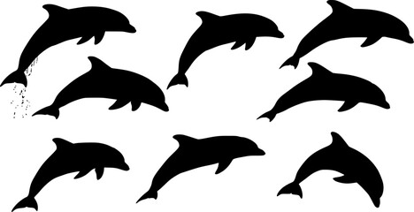 set of dolphin silhouettes. vector set. PNG white background
