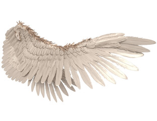 Fototapeta premium 3D rendered illustration of elegant white wings, isolated on transparent background