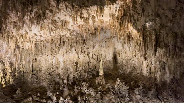 Carlsbad Caverns National Park: Underground Wonders of the American Southwest