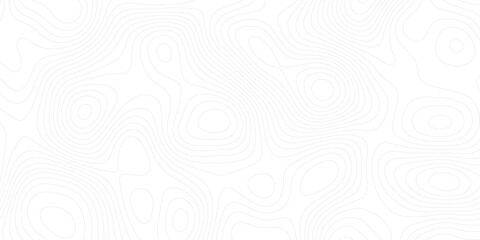 Vector cartography illustration. Topography and geography map grid abstract backdrop