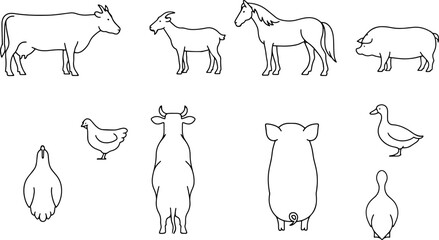 CAD drawings of farm animal outlines. Side and top view vector set