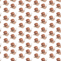 Snail. Seamless watercolor hand drawn pattern with brown snail isolated on white. Wildlife fauna backdrop. For cosmetic products with snail mucus, fabric design, textile print, wrapping paper, cover