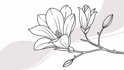 Elegant line drawing of a blooming magnolia flower branch set against a soft, abstract background.
