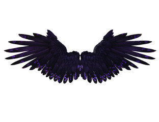 3D rendered illustration of dark iridescent wings with black and violet feathers, isolated on transparent background