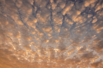 A vibrant sunrise sky with scattered altocumulus clouds glowing in warm yellow and orange hues, creating a tranquil and textured backdrop perfect for nature, weather, and inspiration themes.