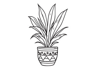 Elegant indoor plant graphics in clean vector line