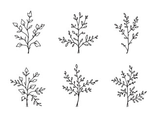 ivy branch plant line art