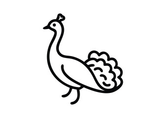 Elegant peacock line art Vector Illustration