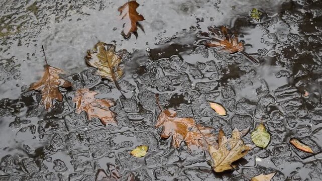 Heavy rain falling on leaves on a cobbled street in Paris, France creating puddles of water.