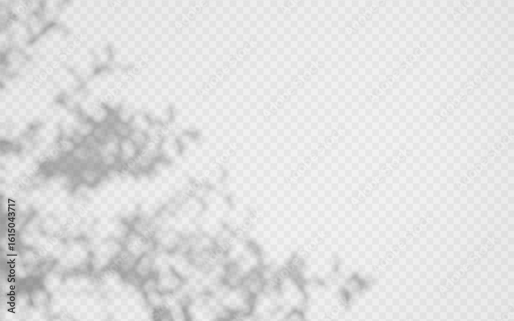 Wall mural abstract shadow overlay from tree branch on a transparent background.