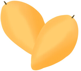 mango fruit