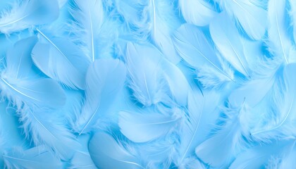 Obraz premium Light blue feathers close-up
