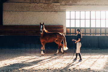Horsewoman training a chestnut horse in a covered riding arena