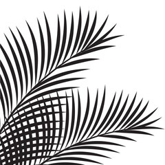 Silhoutte Cococnut leaf