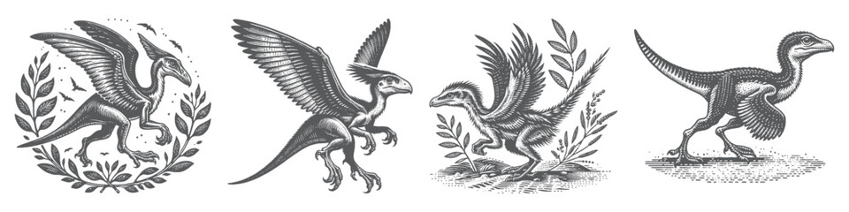 Vintage Hand-Drawn Velociraptor Collection Illustration, Prehistoric Predator Engraved Style Vector for T-Shirts and Dinosaur Themes Design