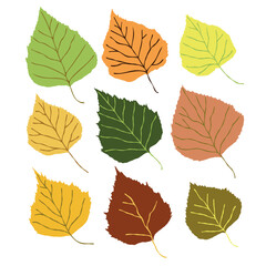 Obraz premium Autumn Leaves Vector Set – 9 Colorful Fall Illustrations