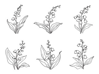 lily of the valley clear vision simple line art