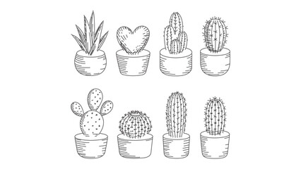 Cactus Collection Depicting Various Potted Succulents in a Hand-Drawn Style Illustration