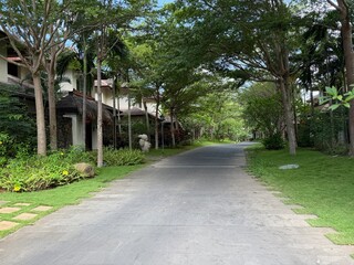 path in the park