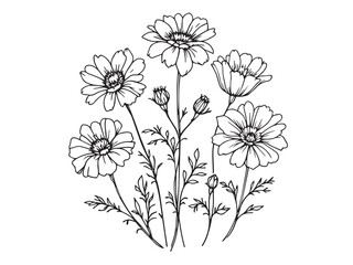 marigold clear vision simple line art