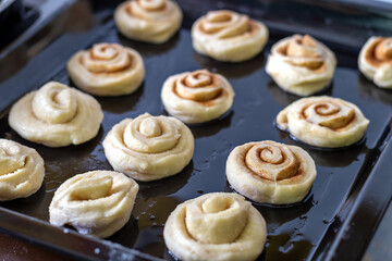Unbaked cinnamon swirled rolls arranged on a baking tray, ready for baking