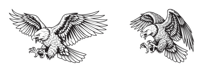 Fototapeta premium Two fierce attacking eagles vector illustration