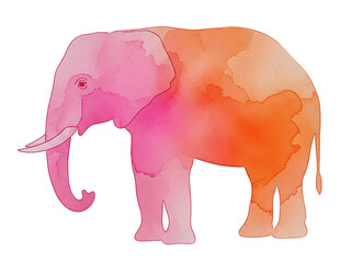 Colorful watercolor elephant illustration with pink and orange hues