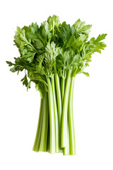 Fresh bunch of celery stalks with green leaves isolated on transparent background