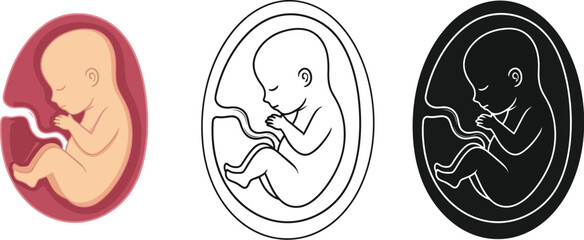 Understanding fetal development stages and growth inside the womb during pregnancy journey