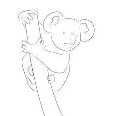 sketch of a koala climbing a tree on a white background