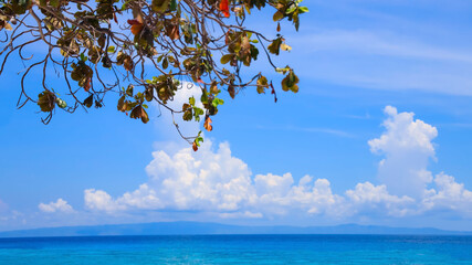 The summer vacation background with Nature on the beach and sea  blue water  summer with sunlight, sandy beach
