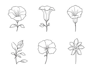 morning glory clear vision simple line art