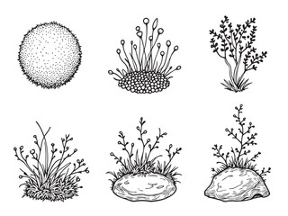 mossy clear vision simple line art