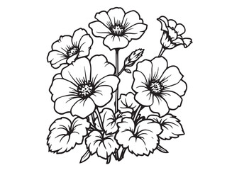 nasturtium clear vision simple line art